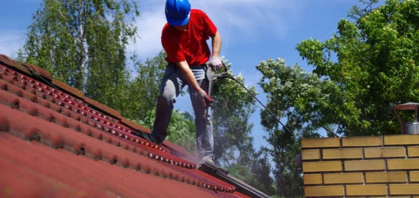 Roof moss removal and other organic growth