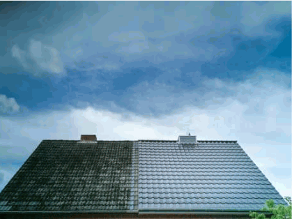 Cleaning Roof removing moss