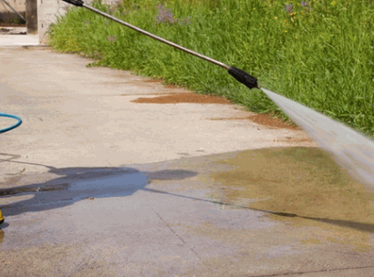 Pressure Washing Tackles Ants And Other Pests